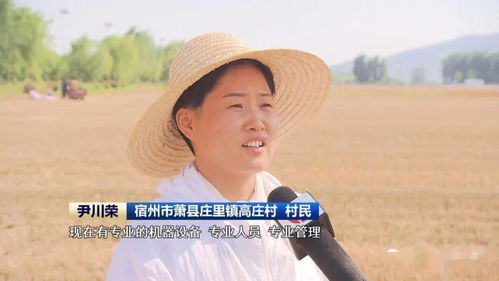 安徽 農機社會化服務助力夏收提速提質，技術推廣是關鍵