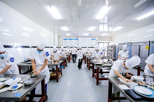 重慶高新區首屆“高新工匠杯”技能大賽開賽，信息技術咨詢服務領域人才角逐巔峰